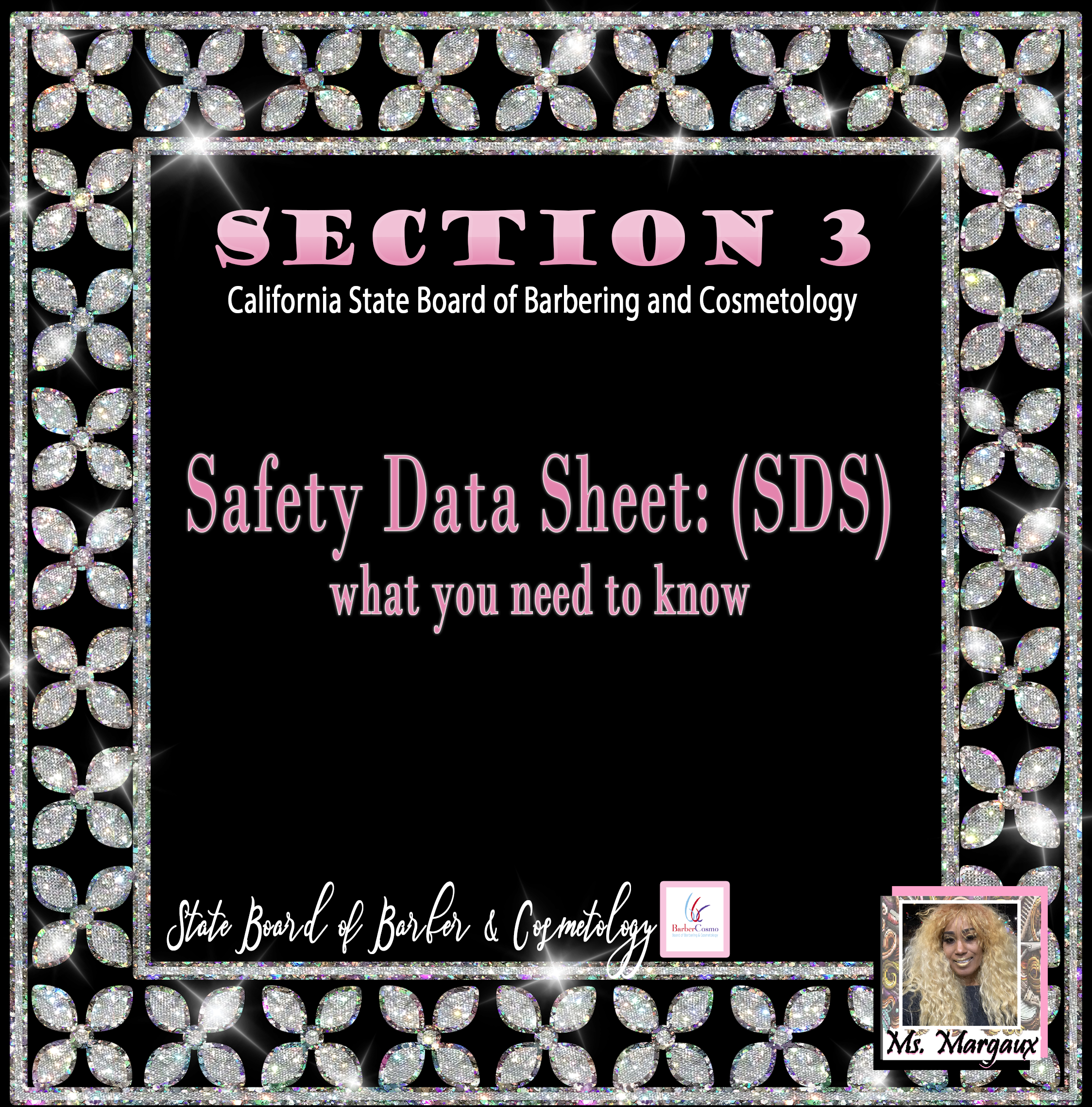 H and S Section 3